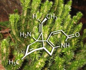 Huperzine A