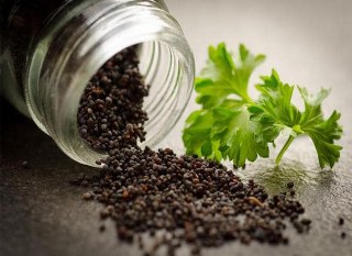 Piperine