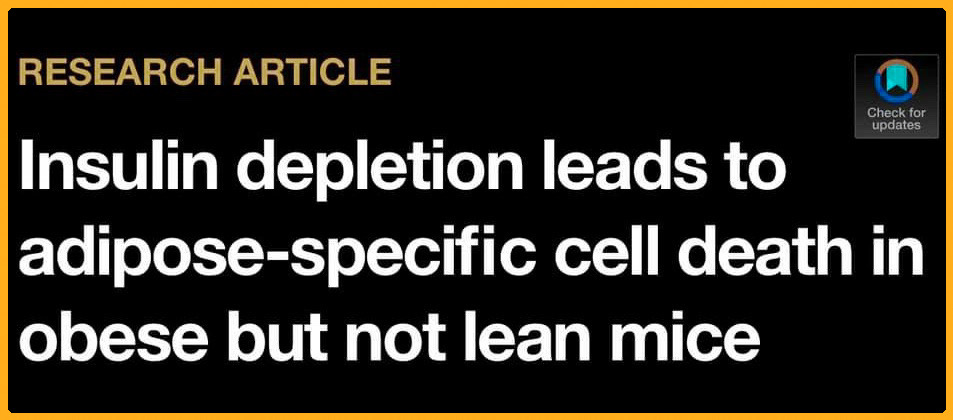 Senolytic, Zombie Cell Killer, Cellular Senescence, Anti-Aging, Senescent Cell Removal, Longevity Supplement, Cellular Rejuvenation, Healthy Aging, Senolytic Therapy, Cellular Detox, DNA Repair, Anti-Aging Formula, Cellular Health, Age-Related Decline, Cellular Renewal, Senescent Cell Clearance, Youthful Vitality, Regenerative Health, Natural Senolytic, Healthy Cell Turnover, Senolytic Zombie Cell Killer