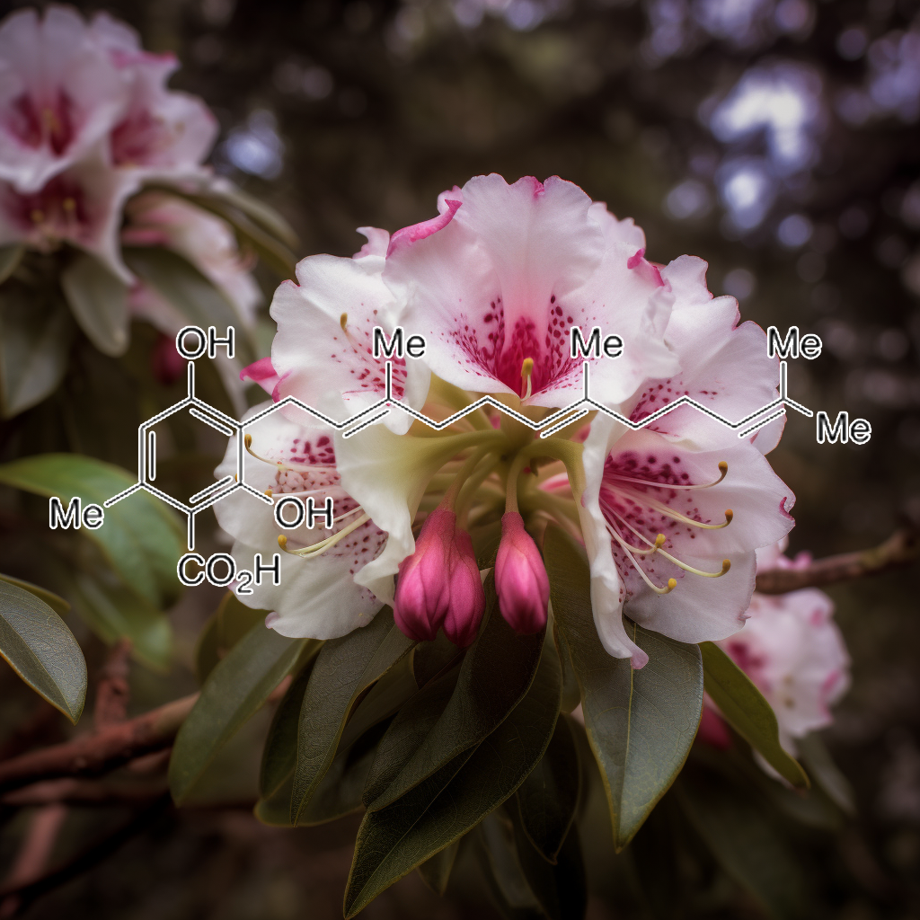 GLP-1, GLP-1 Activator, GLP-1 receptor agonists, Glucagon-like peptide 1, gastric inhibitory polypeptide, incretin-mediated, incretin effect, incretins, Modulates Appetite, Anorexigenic Effect, addictive disorders, Obesity, increase satiety, anti-addiction treatment, food cravings, alcohol addiction, food addiction, GLP1