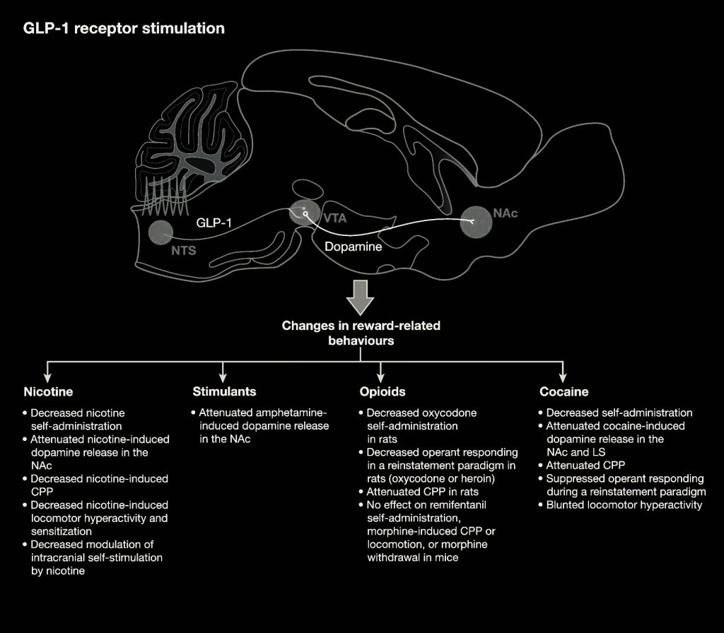 GLP-1, GLP-1 Activator, GLP-1 receptor agonists, Glucagon-like peptide 1, gastric inhibitory polypeptide, incretin-mediated, incretin effect, incretins, Modulates Appetite, Anorexigenic Effect, addictive disorders, Obesity, increase satiety, anti-addiction treatment, food cravings, alcohol addiction, food addiction, GLP1